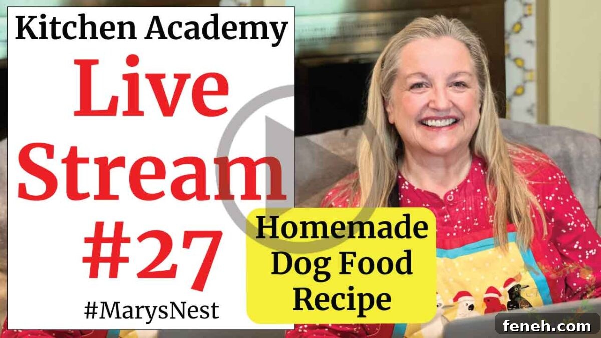 Homemade dog food video