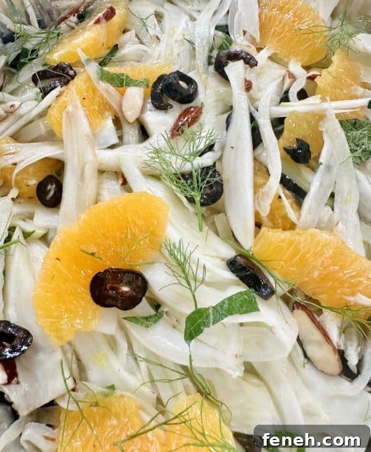 fennel salad 