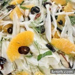 fennel salad