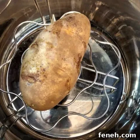 Baked Potatoes in the Instant Pot