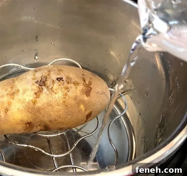 Perfect Instant Pot Baked Potatoes: Crispy Skin, Fluffy Inside 5 img 23582 8