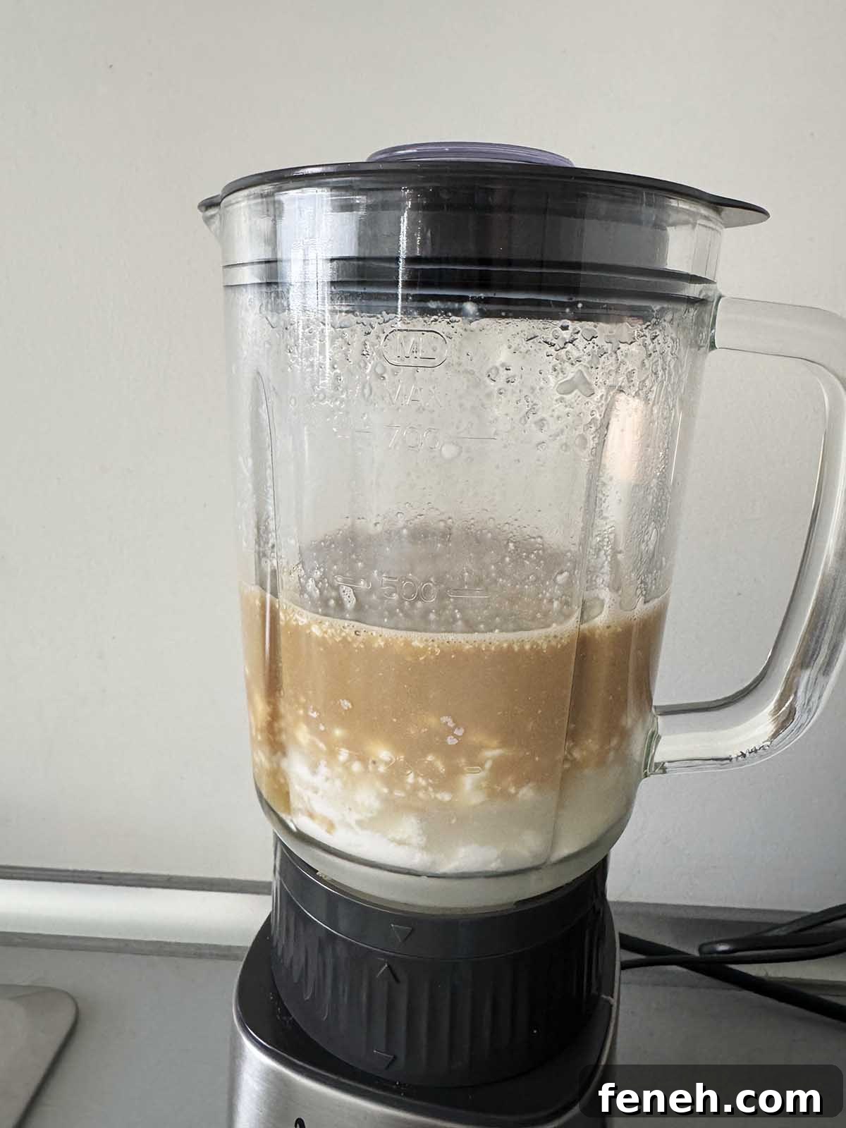 Ingredients in blender