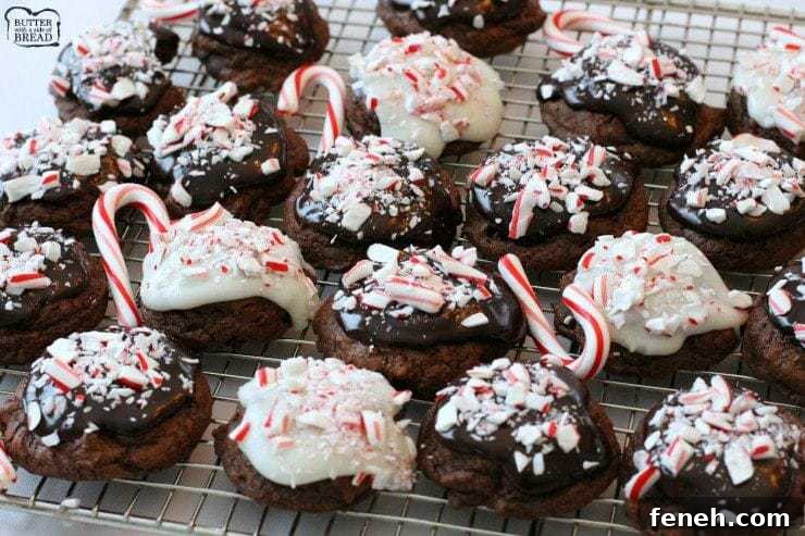 Peppermint Fudge Cookies.