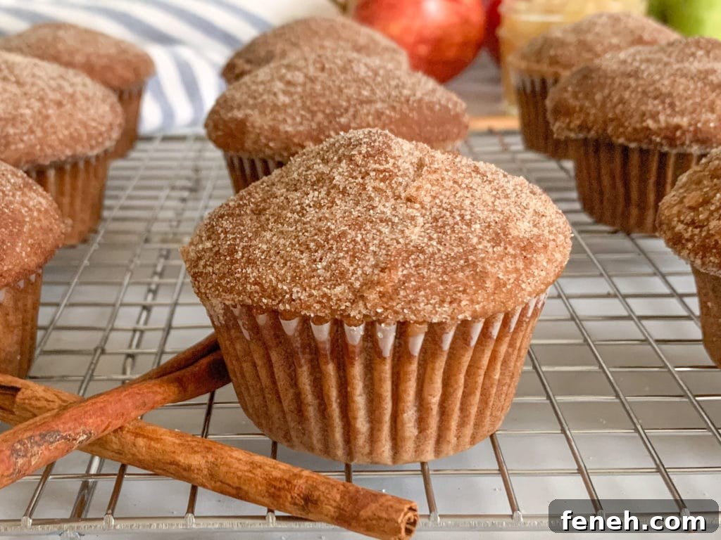 Cinnamon Sugar Topped Applesauce Donut Muffins