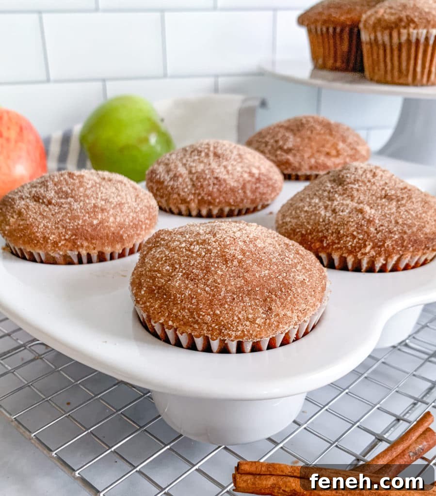 Cinnamon Sugar Applesauce Donut Muffins