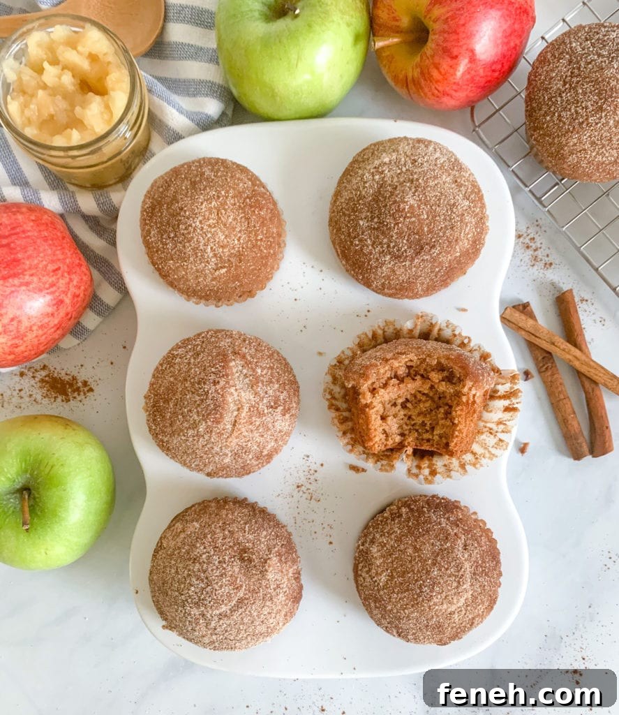 Are applesauce donut muffins healthy?