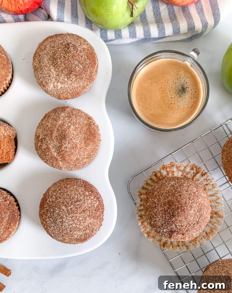 Start your morning with cinnamon sugar applesauce donut muffins