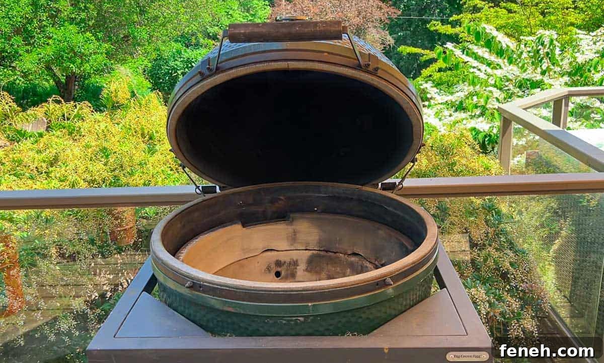 Replace the Gasket on a Big Green Egg Without Taking Off the Lid 2 A Big Green Egg grill with a brand new gasket