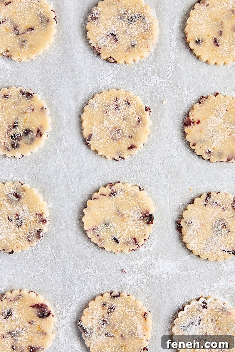 Rounds of shortbread dough on parchment-lined baking sheet
