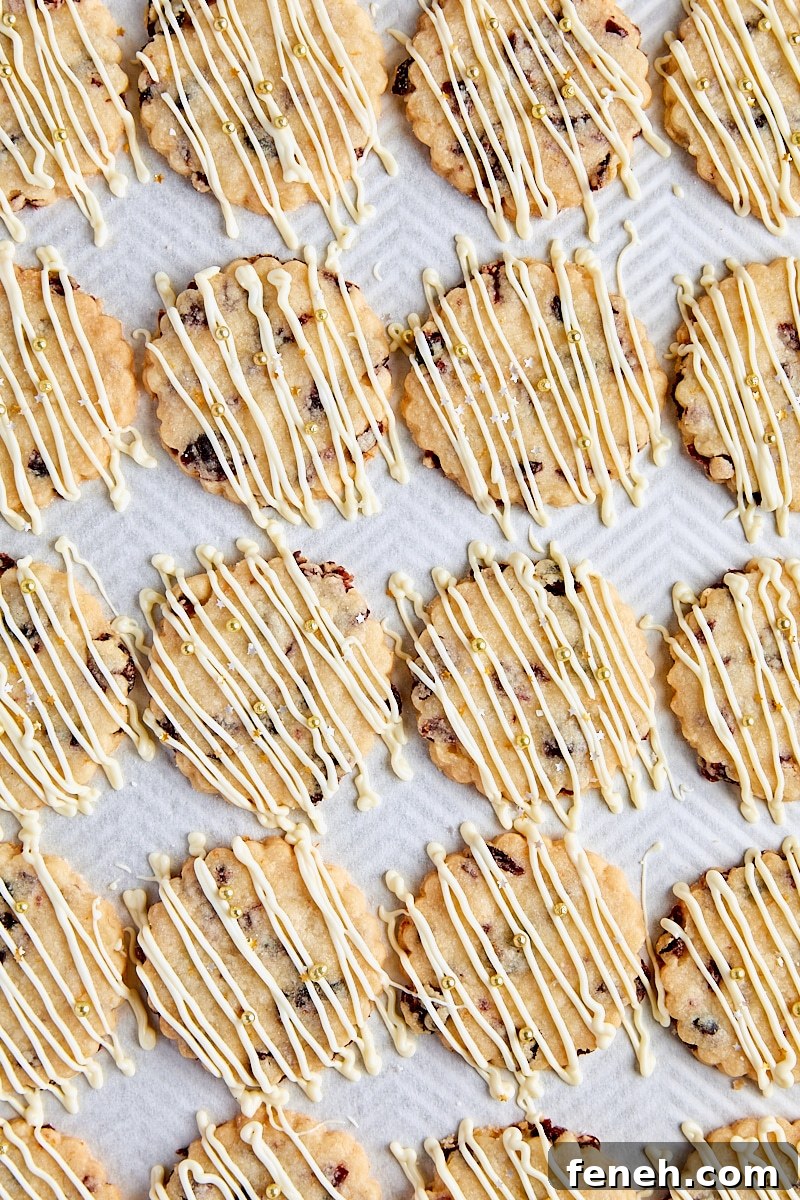 Cranberry orange shortbread drizzled with white chocolate on parchment-lined baking sheet