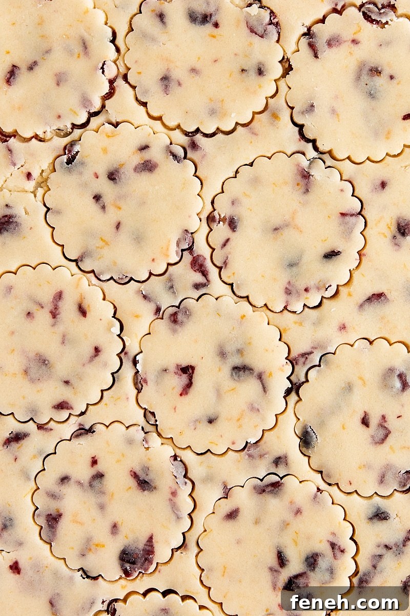Cranberry orange shortbread dough rolled out on parchment paper