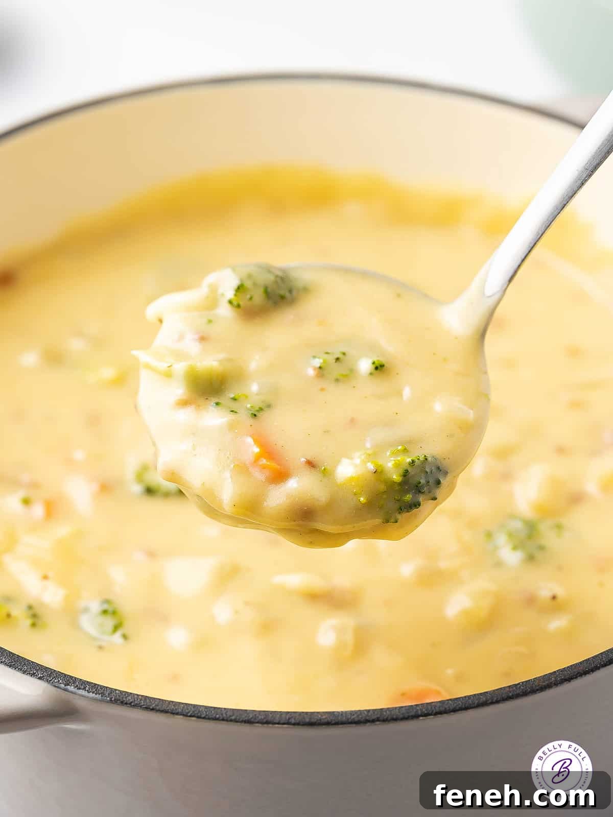 ladle full of cheesy soup