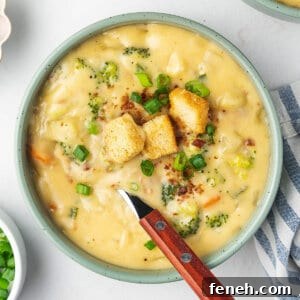 overhead bowl with spoon of cheese soup with croutons