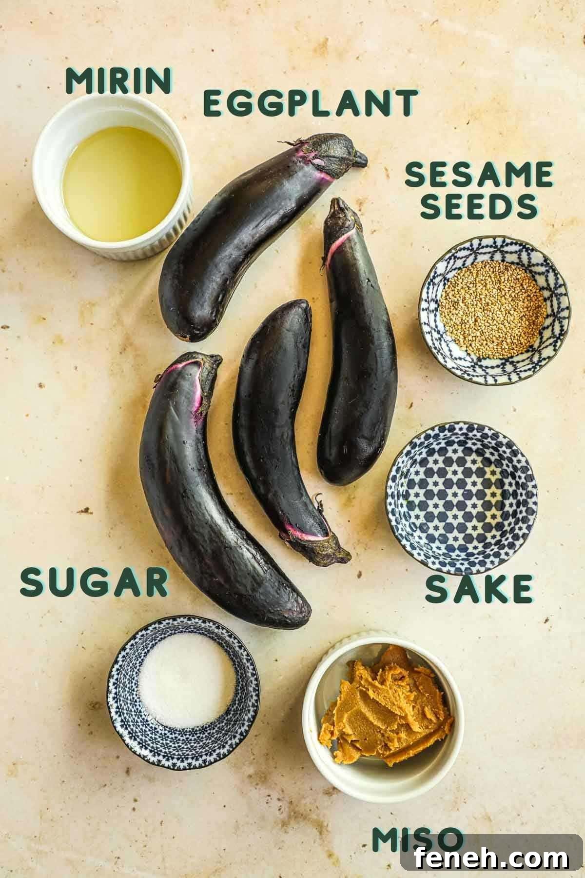 Ingredients to make miso glazed Japanese eggplant (nasu dengaku), including eggplant, white miso paste, mirin, sake, sugar, and sesame seeds.