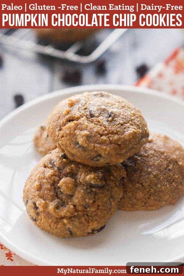 Paleo Pumpkin Chocolate Chip Cookies Recipe (Gluten-Free, Clean Eating, Dairy-Free)
