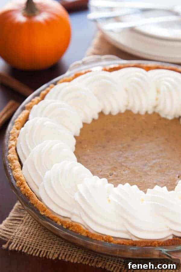 Paleo Pumpkin Pie Recipe