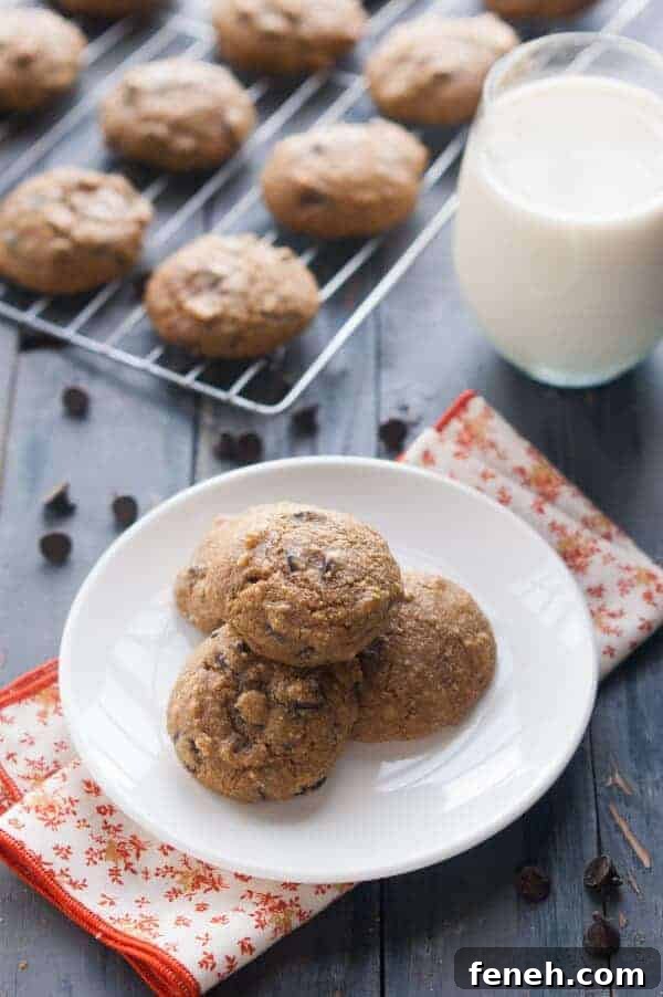 Paleo Pumpkin Cookies with Chocolate Chips Recipe