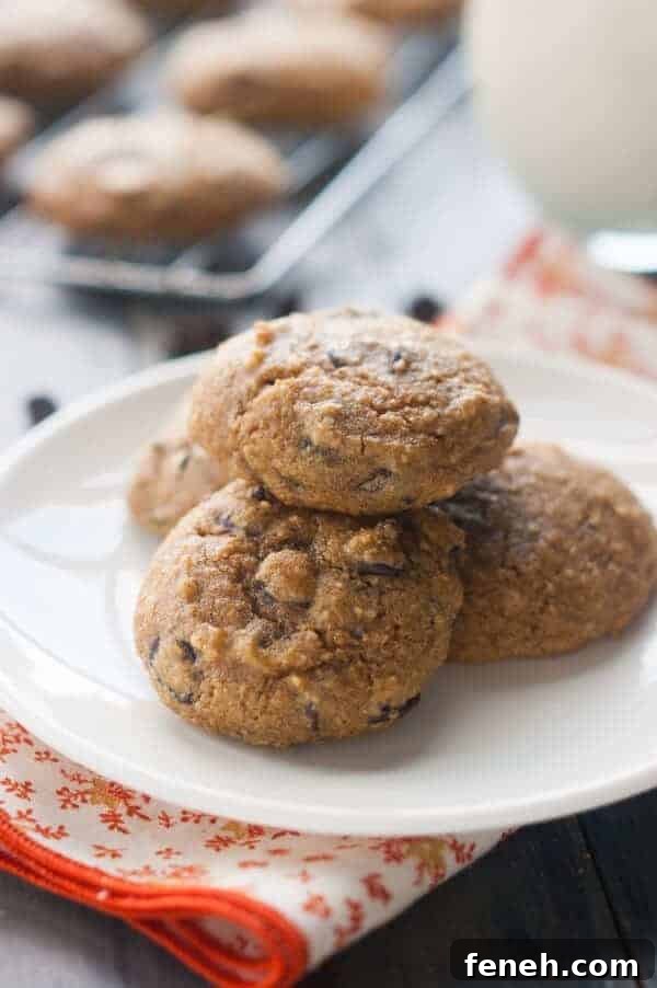 Paleo pumpkin chocolate chip cookies