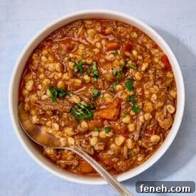 Brisket and barley soup in white bowl with spoon.