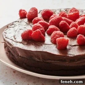 Nut-Free Flourless Chocolate Cake with Raspberries