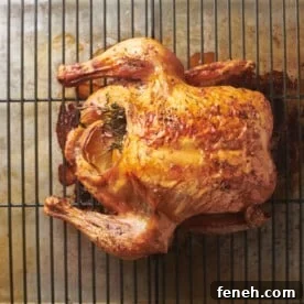 Whole roasted chicken on wire rack.