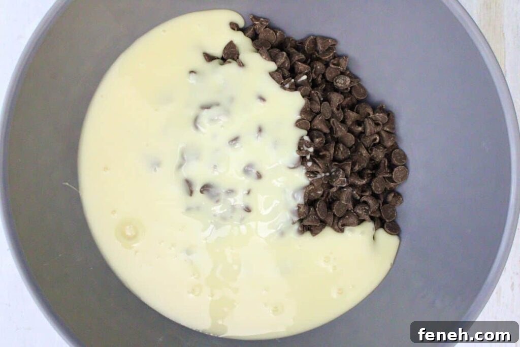 add chocolate chips and sweetened condensed milk to large microwave safe bowl