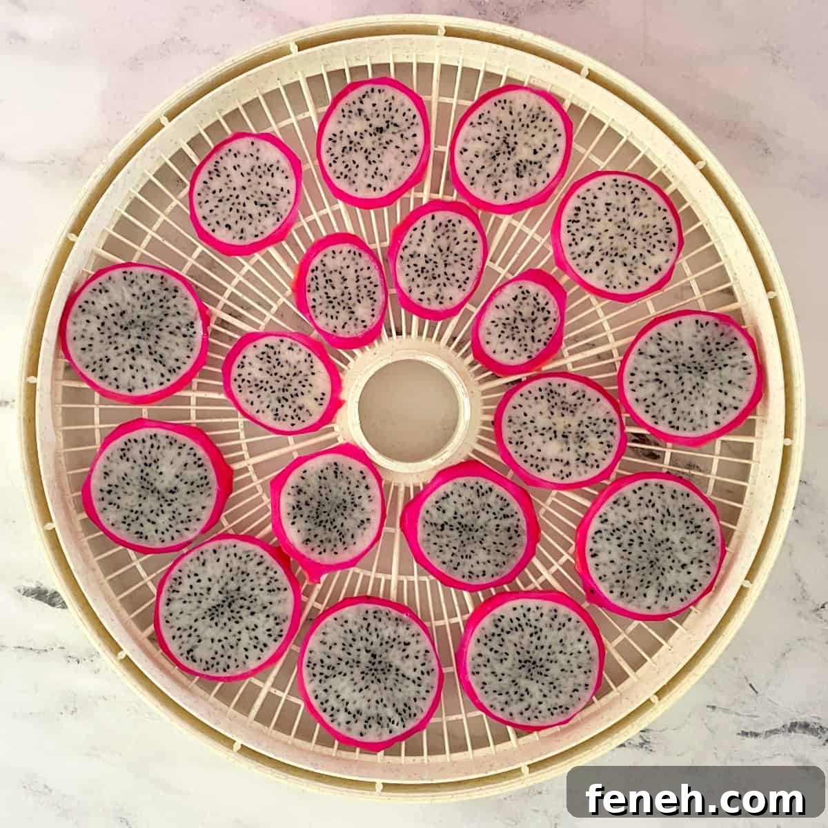 sliced white dragon fruit on a dehydrator tray.