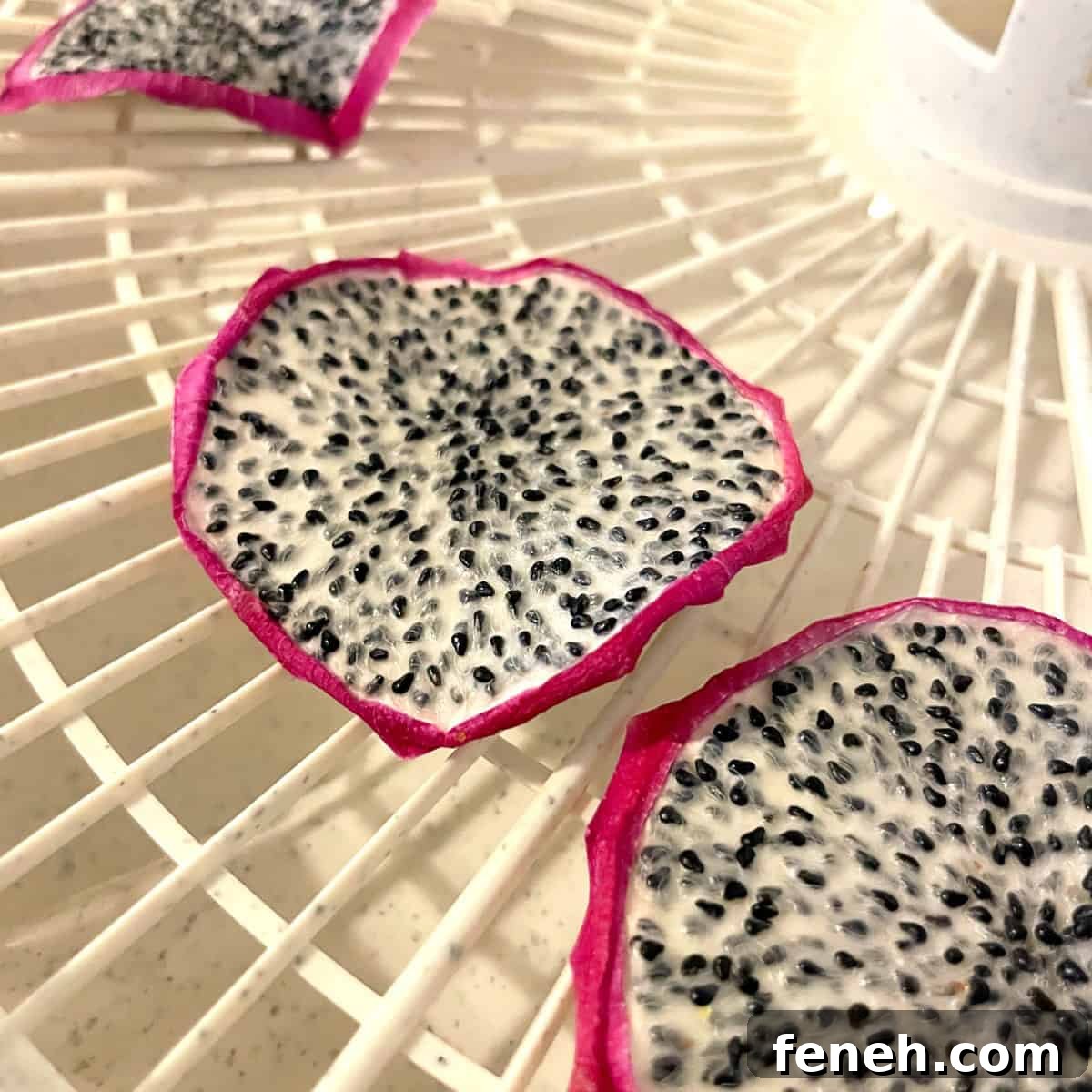 dehydrated dragon fruit on a dehydrator tray.