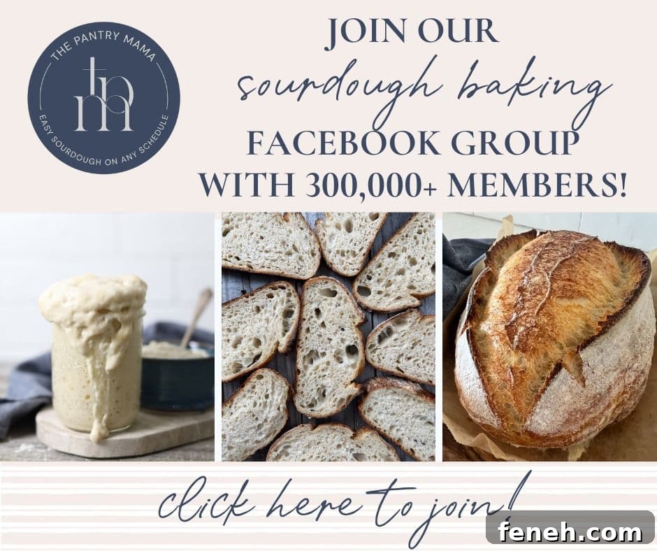 Crispy Whole Wheat Sourdough Crackers Recipe 13 img 31932 13