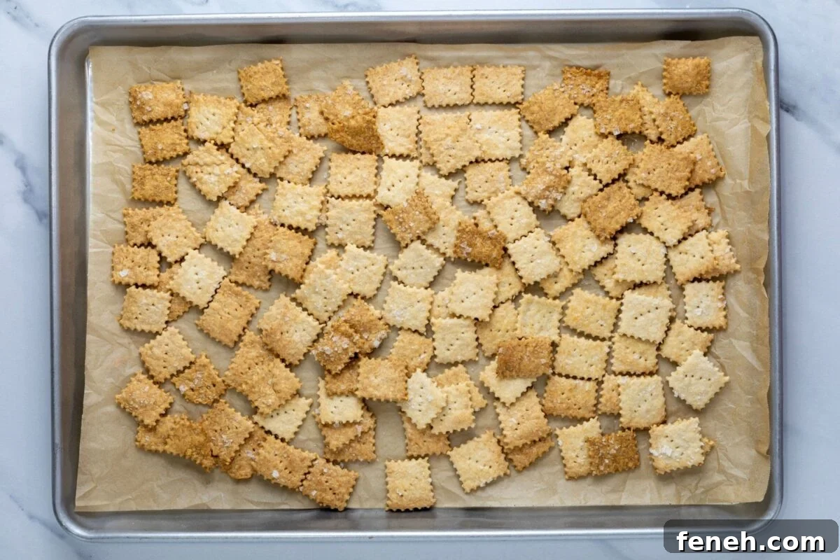 Crispy Whole Wheat Sourdough Crackers Recipe 9 img 31932 8