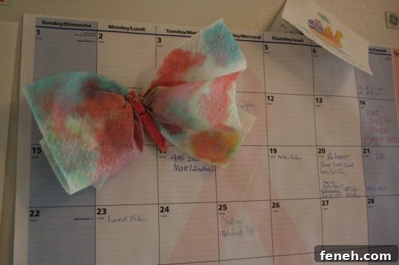 homemade butterfly magnet on fridge