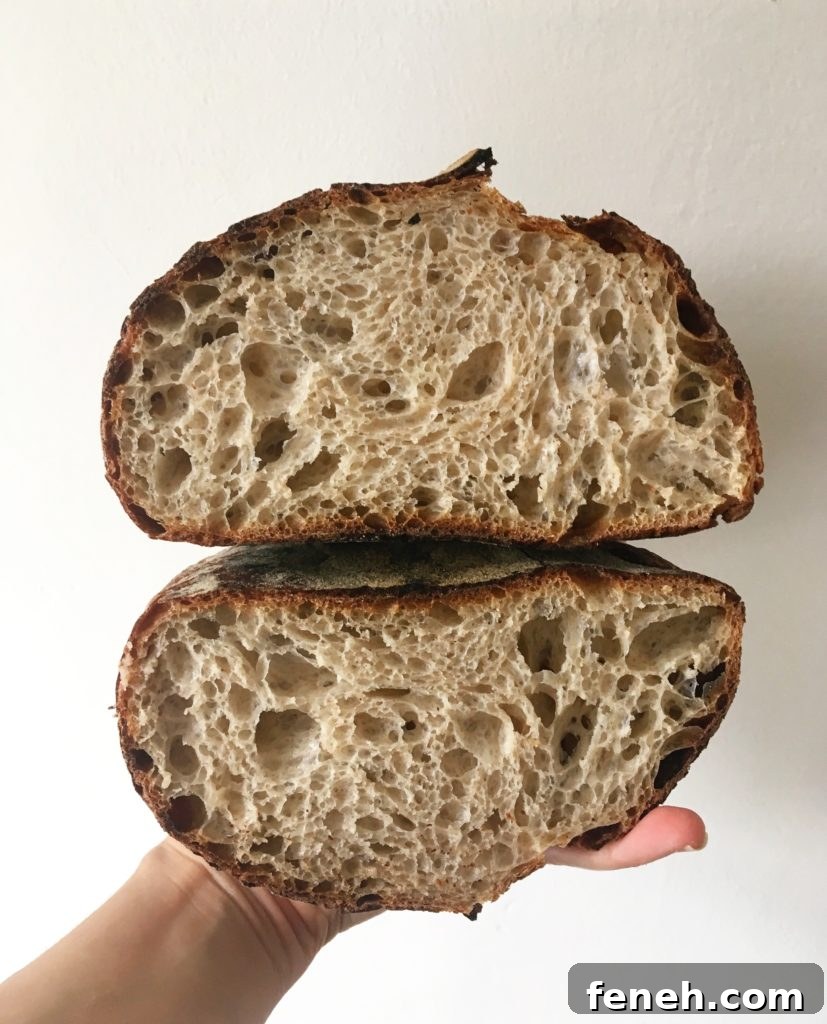 Sourdough discard loaf