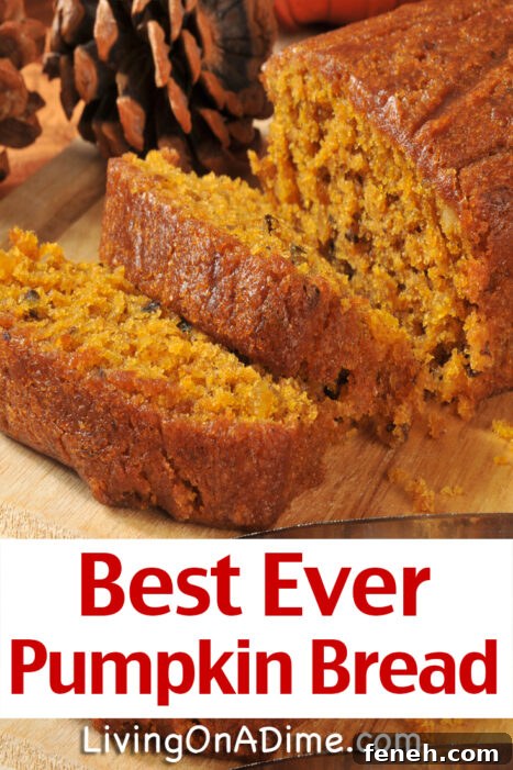 This traditional pumpkin bread recipe is an easy to make quick bread everyone loves. Make sure you serve it with honey butter! Your family will love it!
