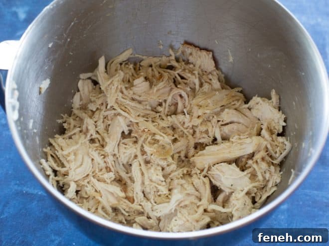 shredded chicken