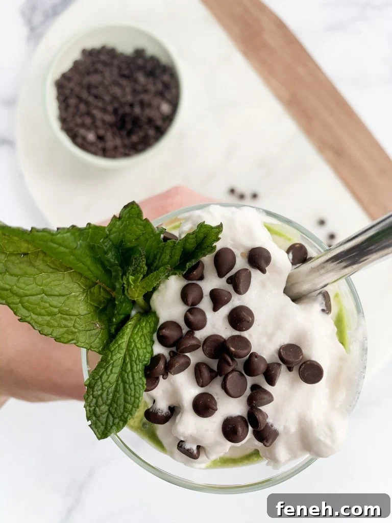 overhead shot of mint chip smoothie topped with coconut whipped cream and chocolate chips