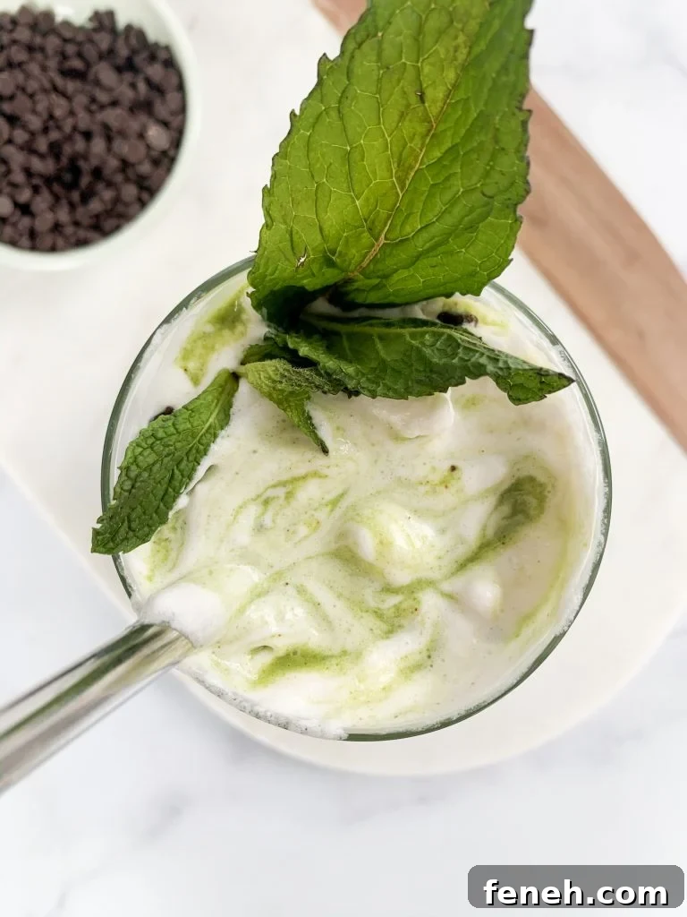 overhead shot of a healthy mint chocolate chip smoothie after it has been mixed