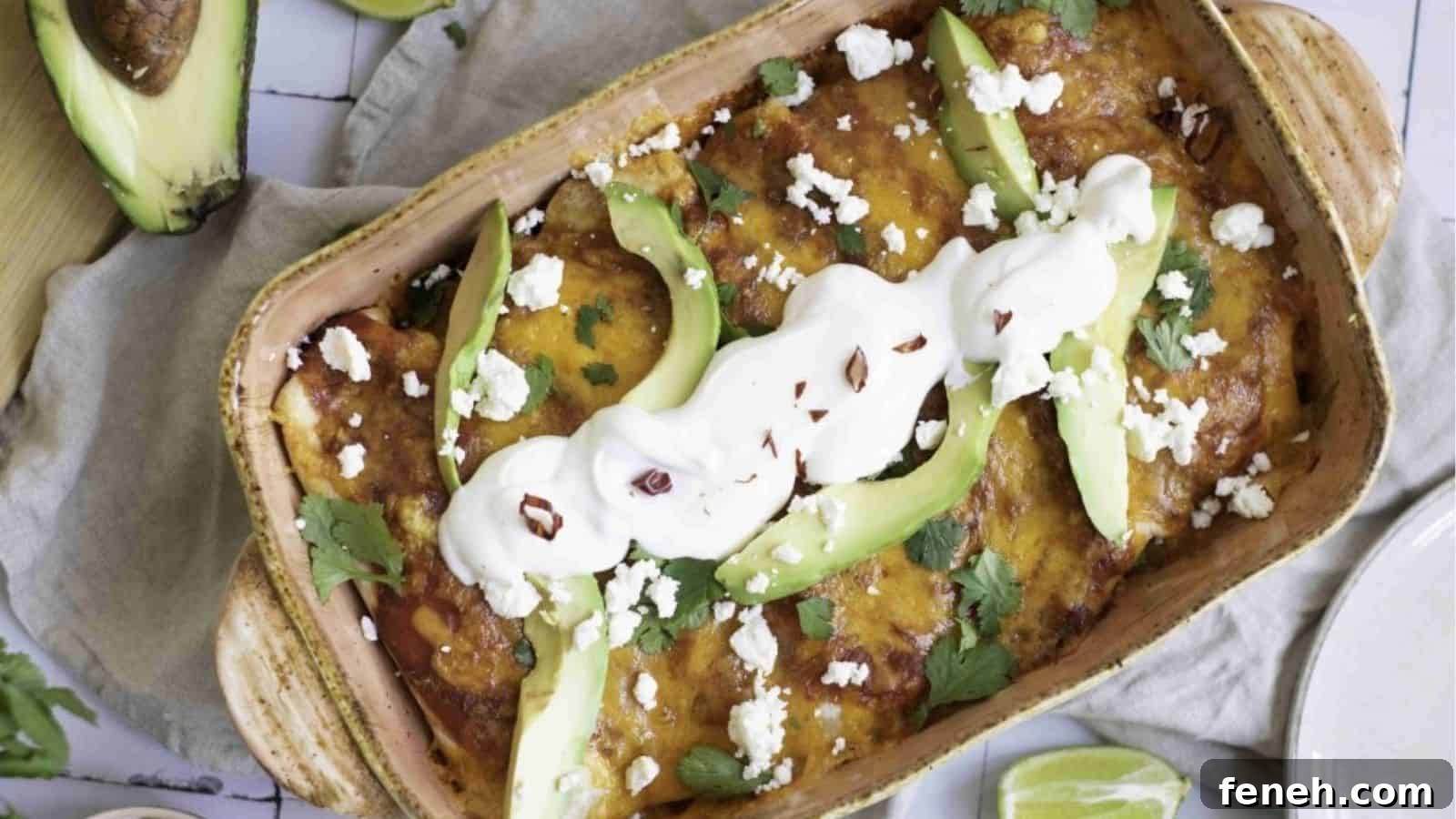 Vegetarian Enchiladas with Beans and Rice
