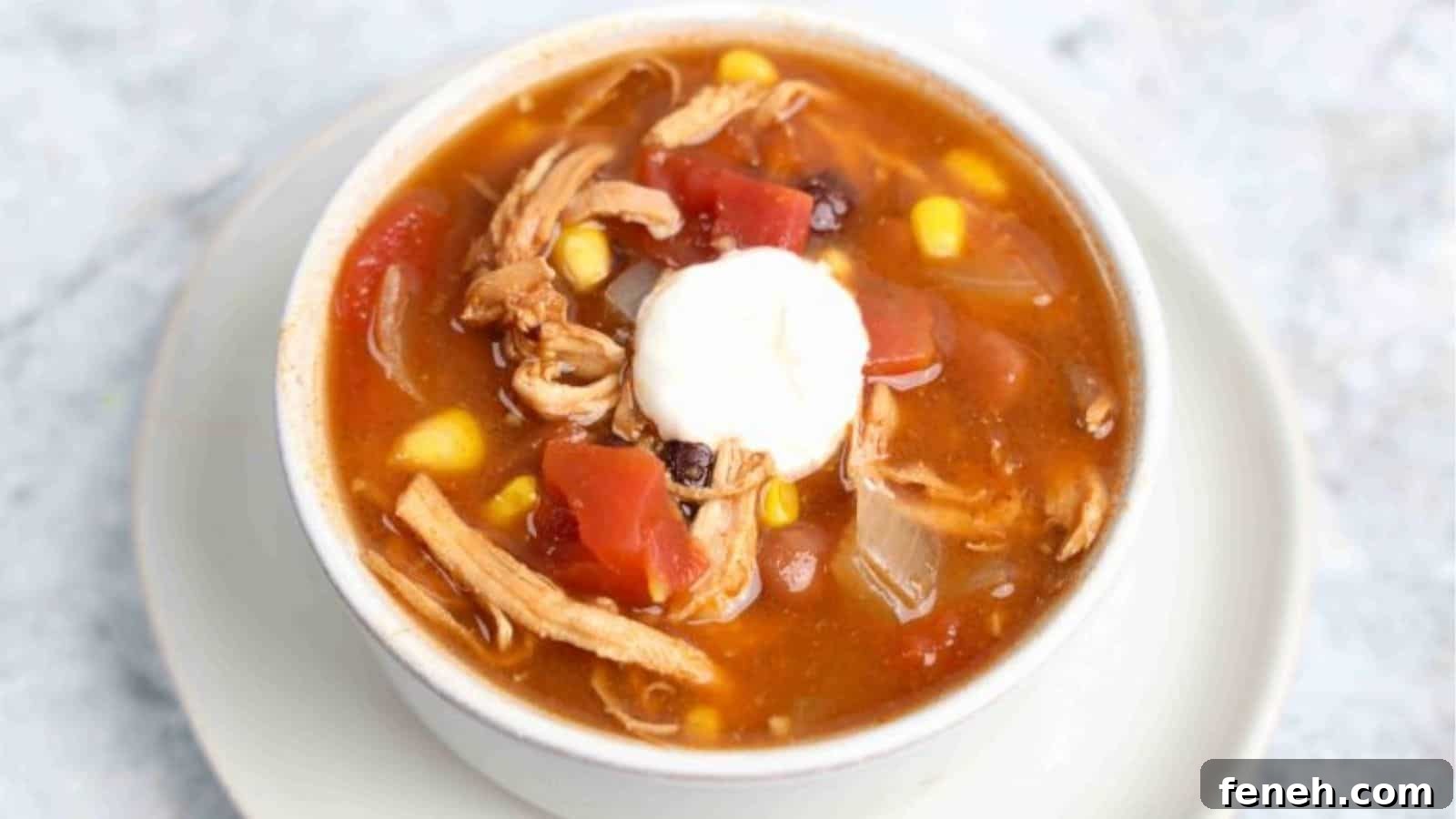 Crockpot Chicken Enchilada Soup