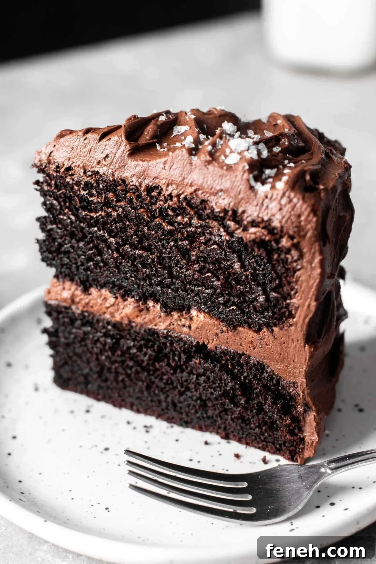 gluten free chocolate cake slice in plate (1)