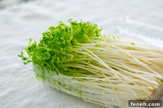 pea sprouts Fresh pea sprouts.