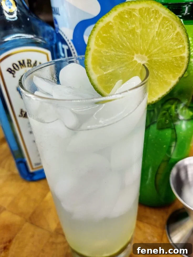 Image for Gin Rickey