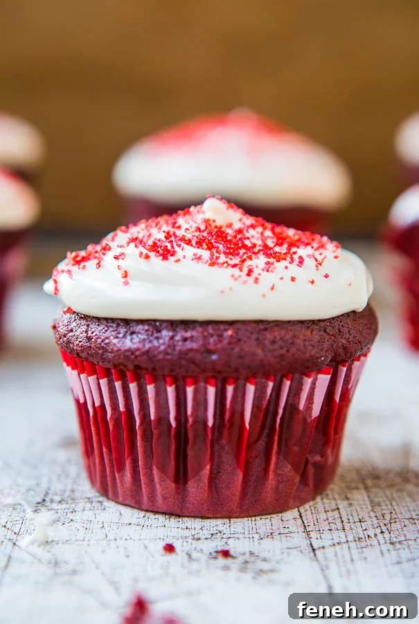 Red Velvet Cupcakes with Vanilla Cream Cheese Frosting A Red Velvet Cupcake with Cream Cheese Frosting.