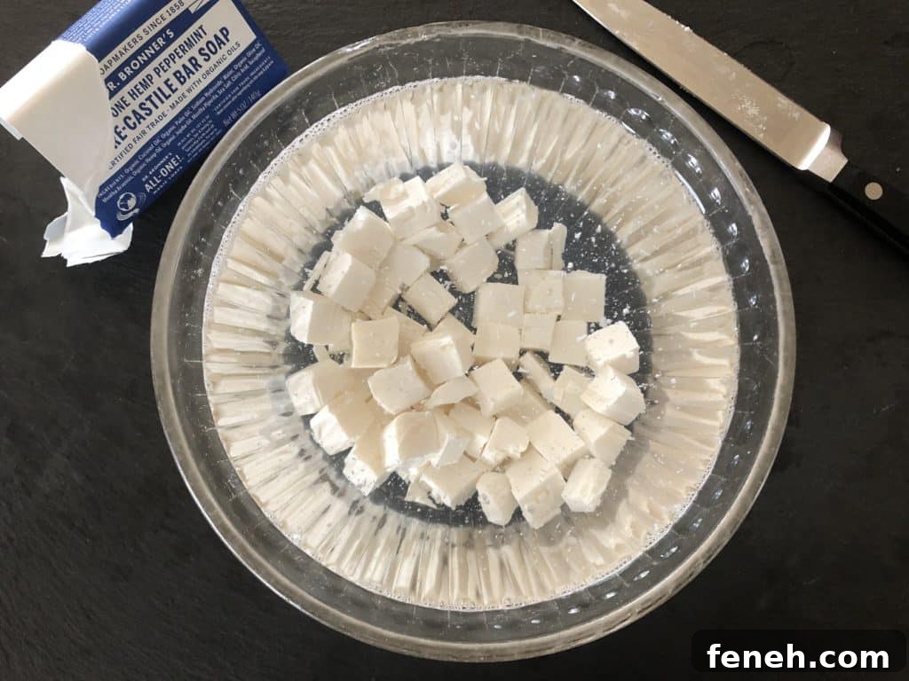 Dr. Bronner's Bar Soap in a bowl of water.