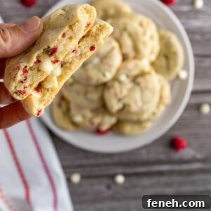 cookie bit in half in a hand.