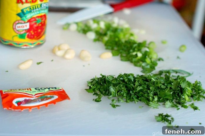 Restaurant Style Mexican Rice Mexican Rice from the Girl and the Kitchen 