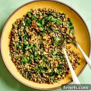 Lentil Salad with Fresh Herbs