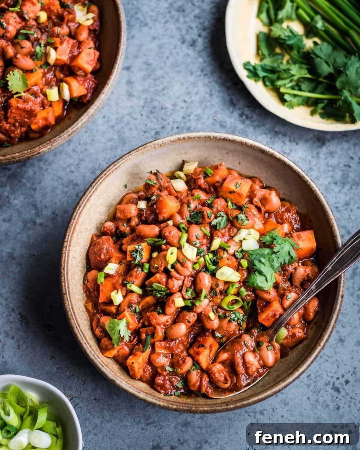 Smoky Sweet Potato and Pinto Bean Chili