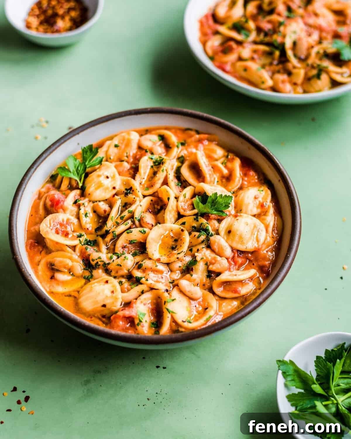 Vegan Italian White Bean and Pasta Stew