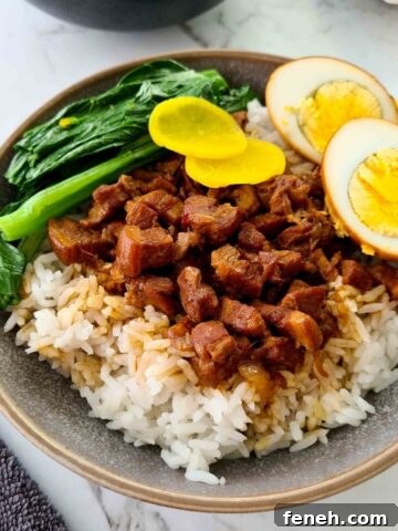 Close up of a bowl of lu rou fan with pickles, egg and Asian greens