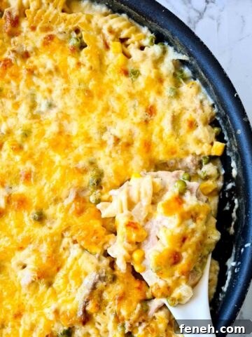 Golden baked tuna mornay with a spoon